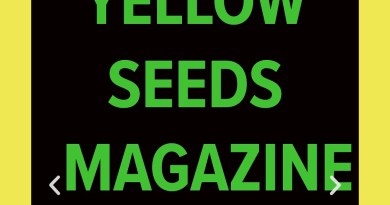 Yellow Seeds Magazine