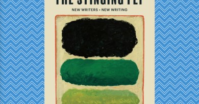 The stinging fly Magazine