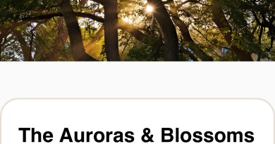 Auroras & Blossoms Magazine