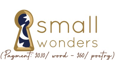 Submission Guidelines For Small Wonders Magazine