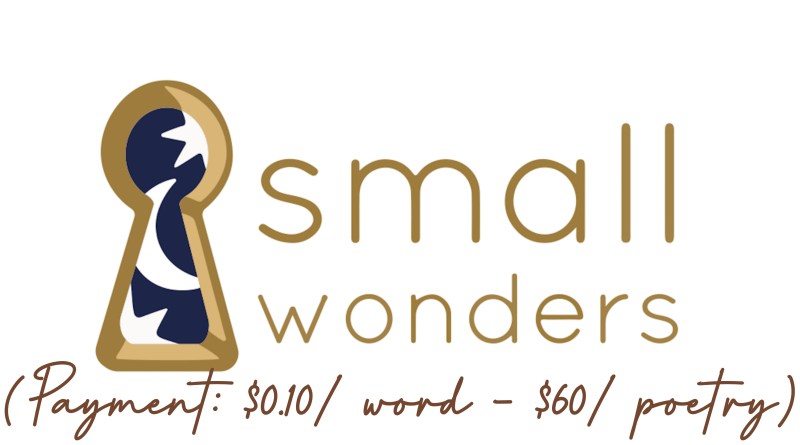 Submission Guidelines For Small Wonders Magazine